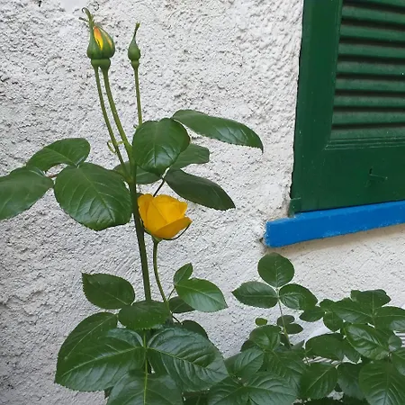 Mirna - Piccolo Bed and breakfast Vaprio dʼAdda
